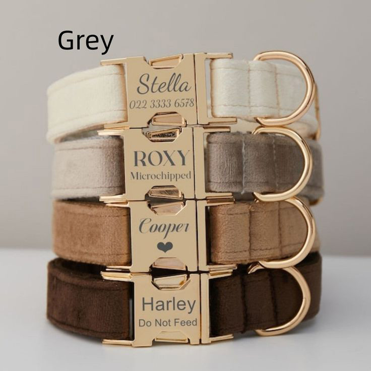 multiple colour velvet personalise dog collar leash set with bow white set s